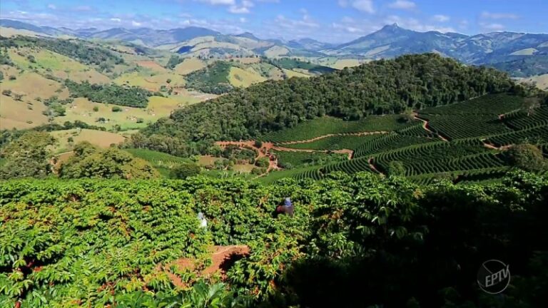 |||||||||||||||||||||||||||||