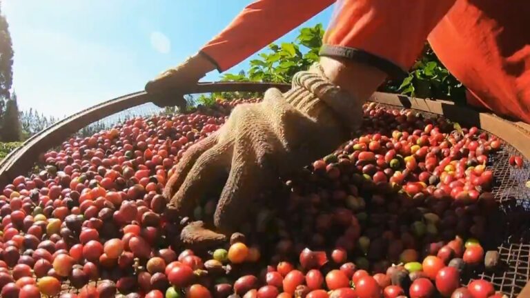 |||||||||||||||||||||||||||||