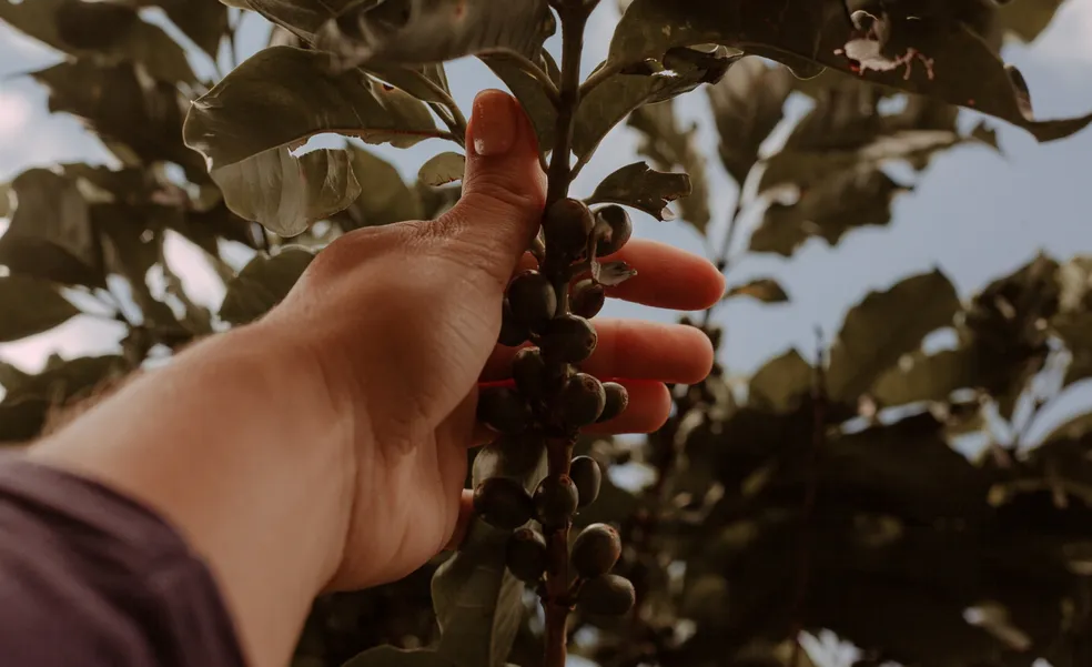 Foto: Sandra Ribeiro