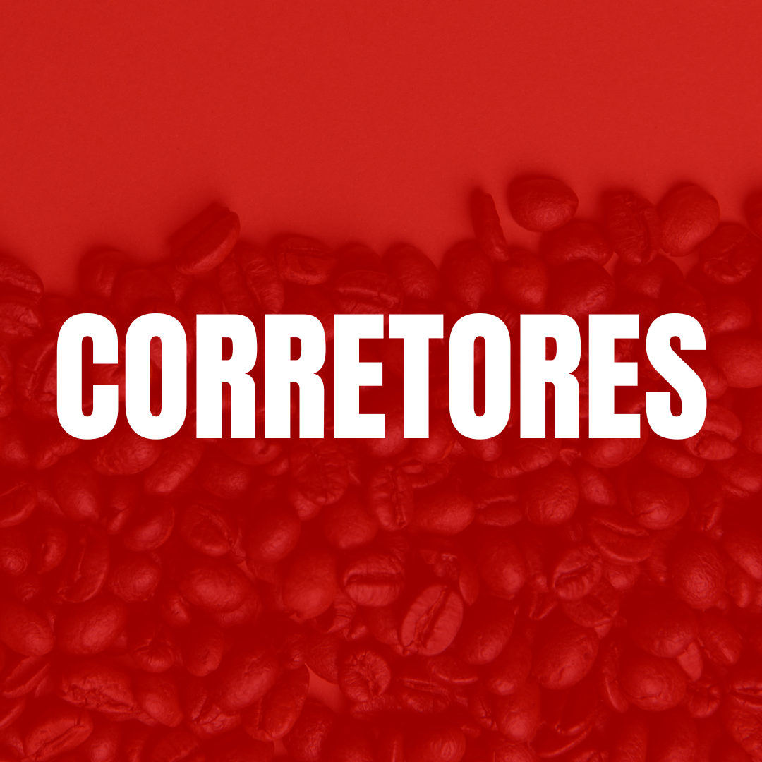 Corretora