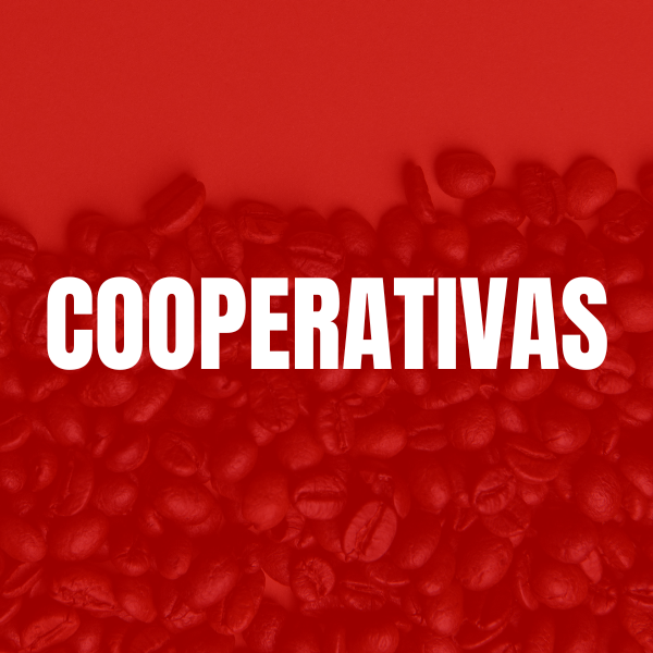 Cooperativa