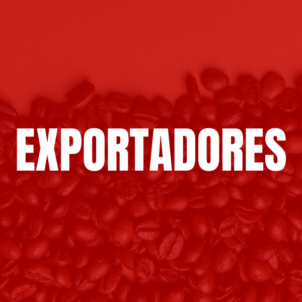 Exportador e Importador